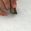 Block Printing with Mordants (2-day Course)