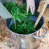 Natural Dyes Of Asia Retreat