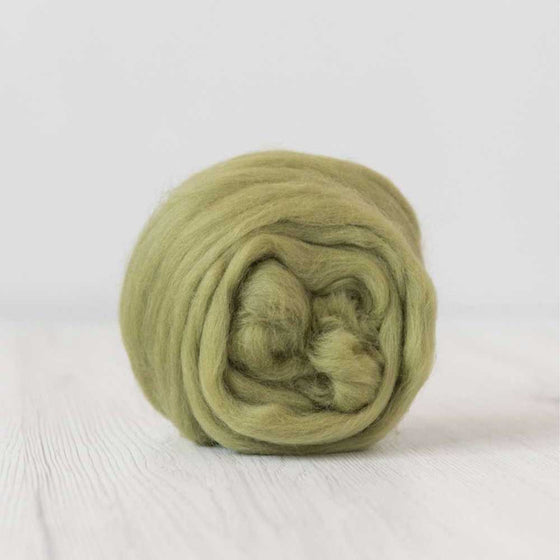 Fine Merino Wool Roving - Asparagus