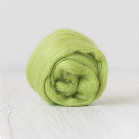 Fine Merino Wool Roving - Caipirinha