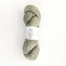 Pichinku Tawa Merino Silk Yarn - Sprig
